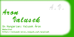 aron valusek business card