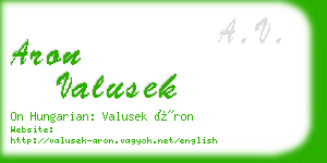 aron valusek business card